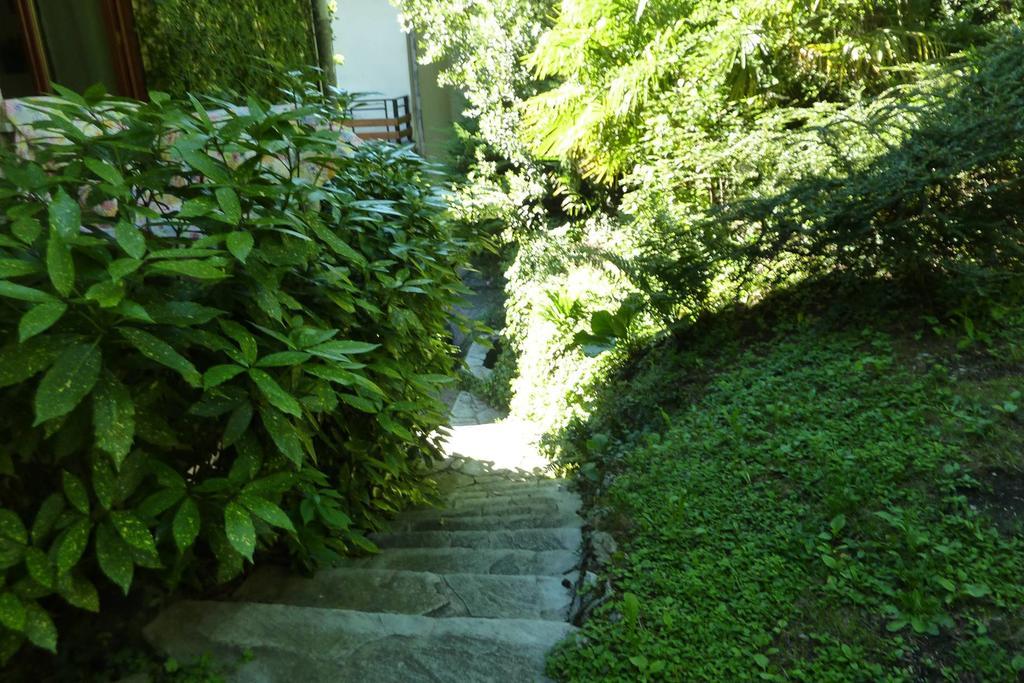 B&B Le Ortensie -Lago Di Como Лиерна Екстериор снимка