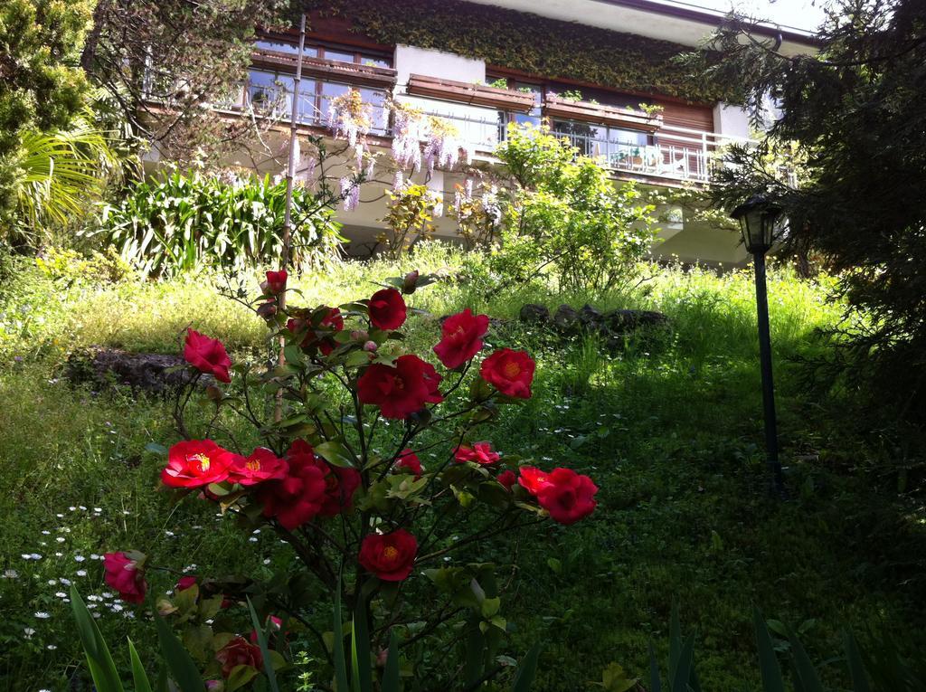 B&B Le Ortensie -Lago Di Como Лиерна Екстериор снимка