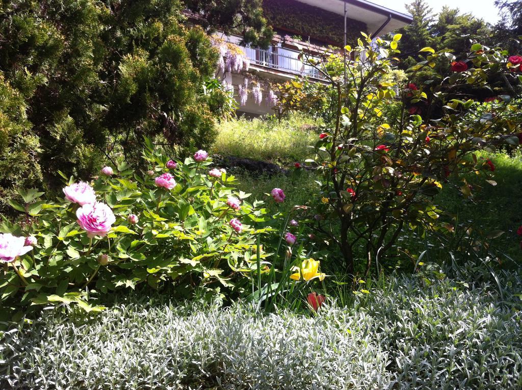 B&B Le Ortensie -Lago Di Como Лиерна Екстериор снимка